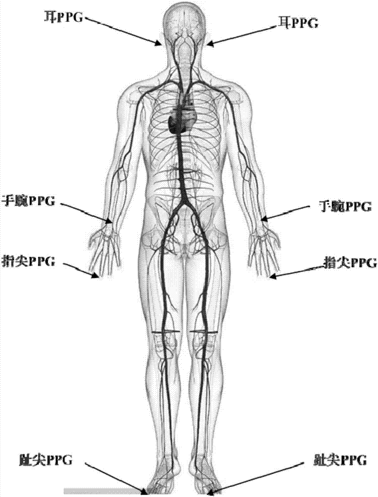 Arteriosclerosis degree evaluating method and device and arteriosclerosis detector