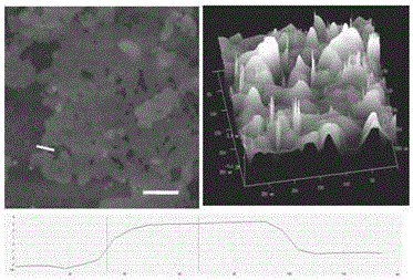 A kind of rare earth oxide coating and preparation method thereof