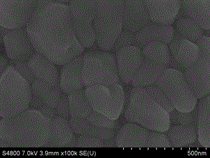 A kind of rare earth oxide coating and preparation method thereof