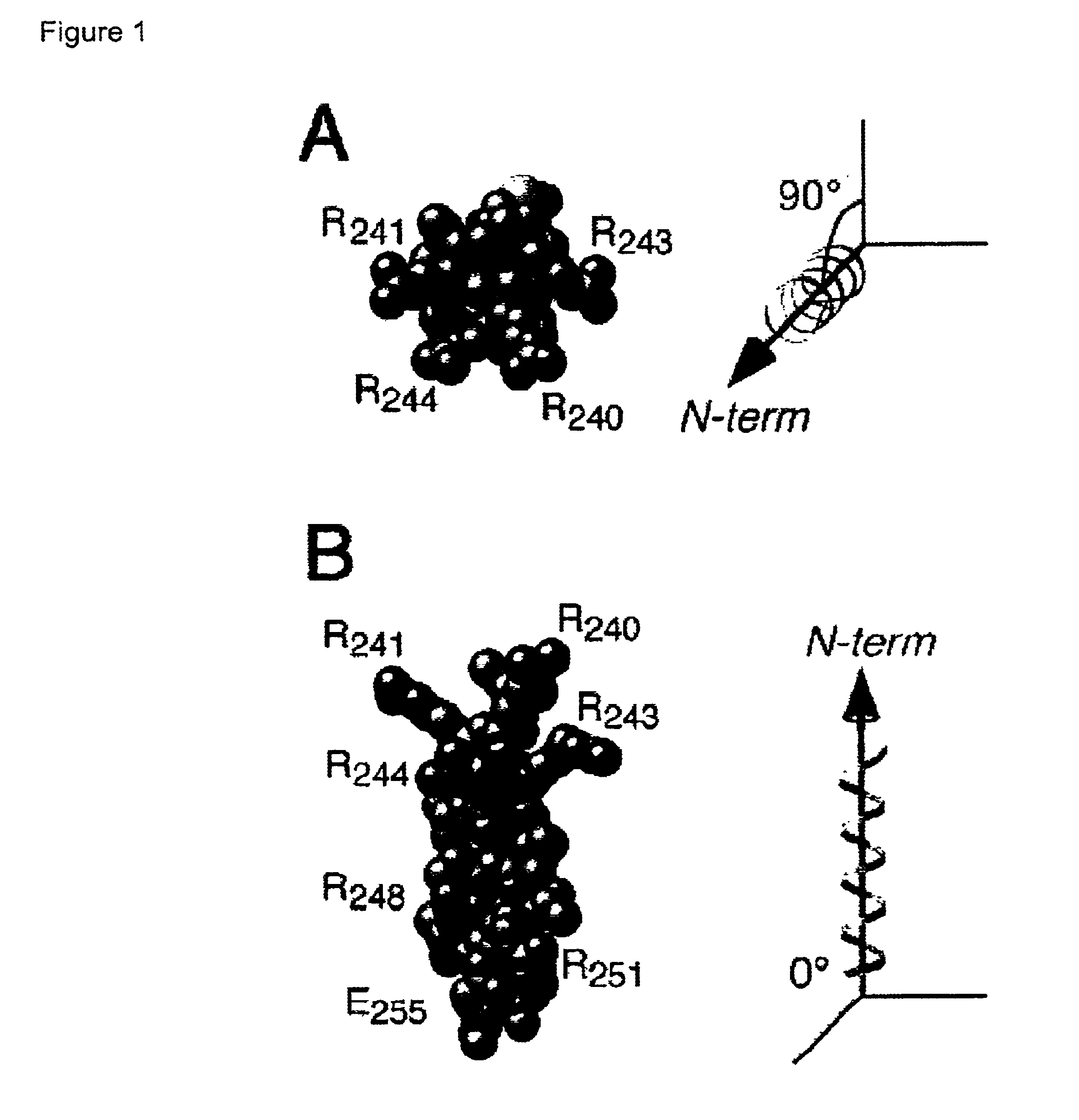 Adenovirus E4 protein variants for virus production