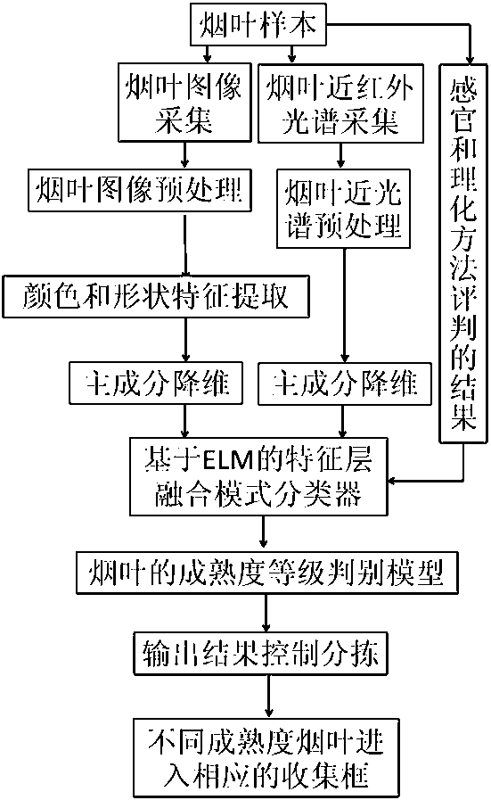 Tobacco leaf classification method based on spectrum and machine vision coupling