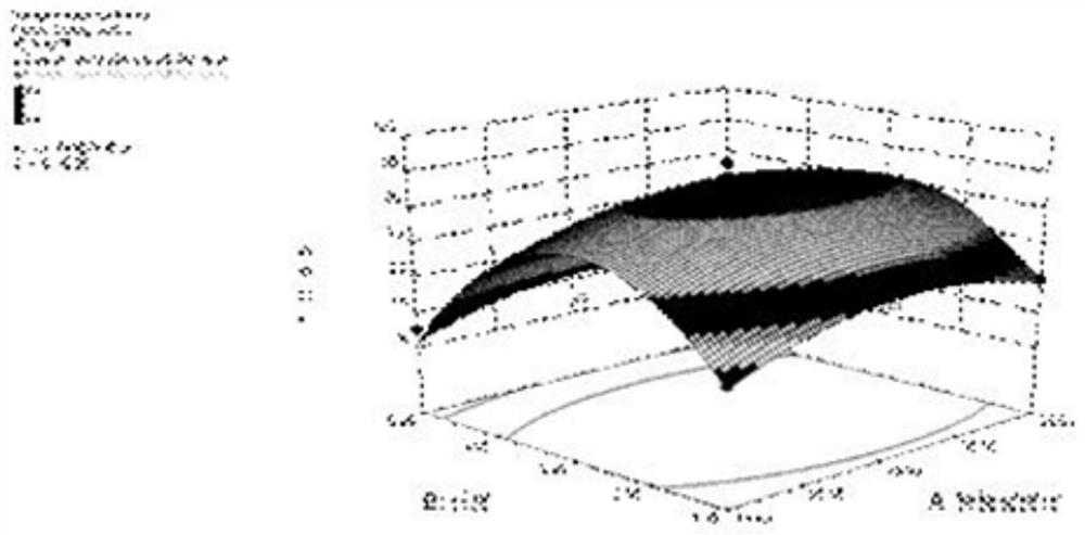 A kind of method for interplanting Radix Radix Radix et Rhizoma