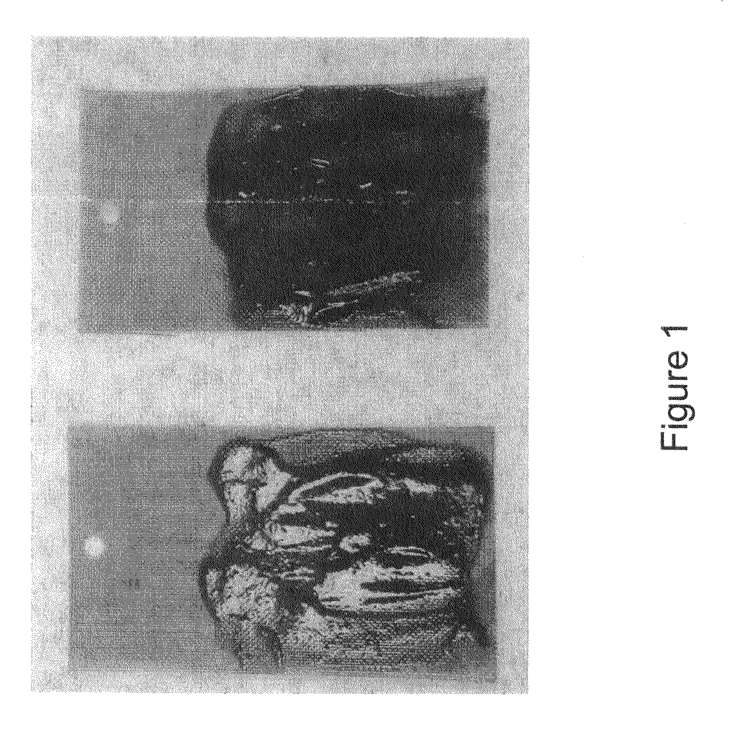 Bubble enhanced cleaning method and chemistry