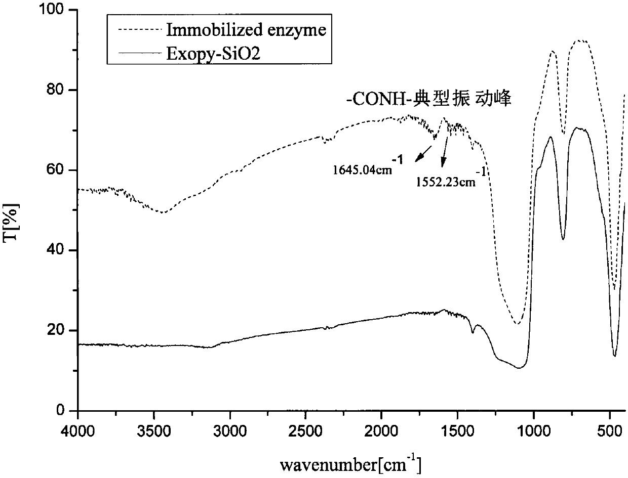 A kind of method for preparing immobilized aromatase