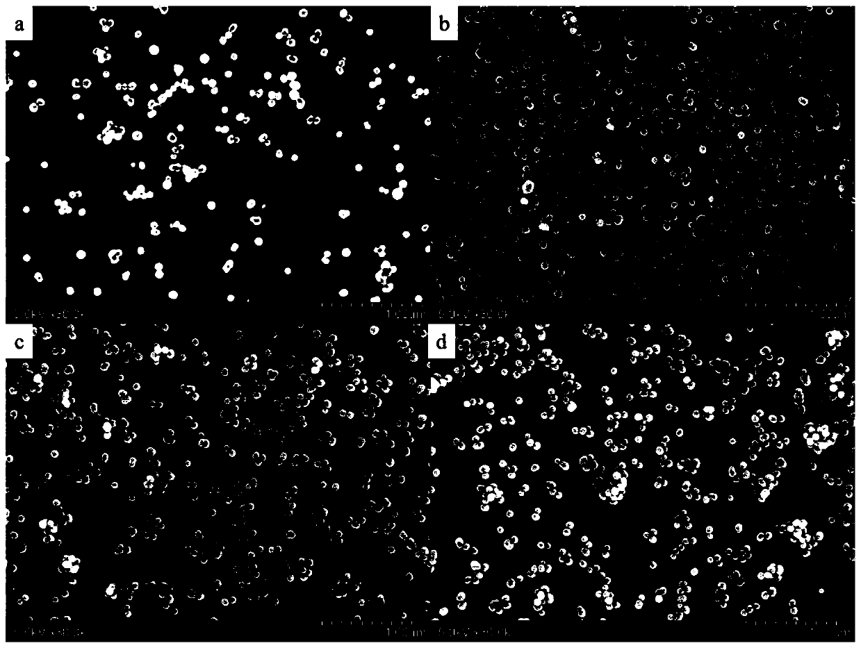 Preparation method of mesoporous silica long-acting antibacterial nano-materials with high selenium loading amount