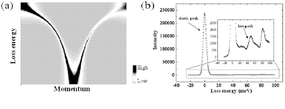 High-resolution electron energy loss spectrometer for energy and momentum two-dimensional analyses