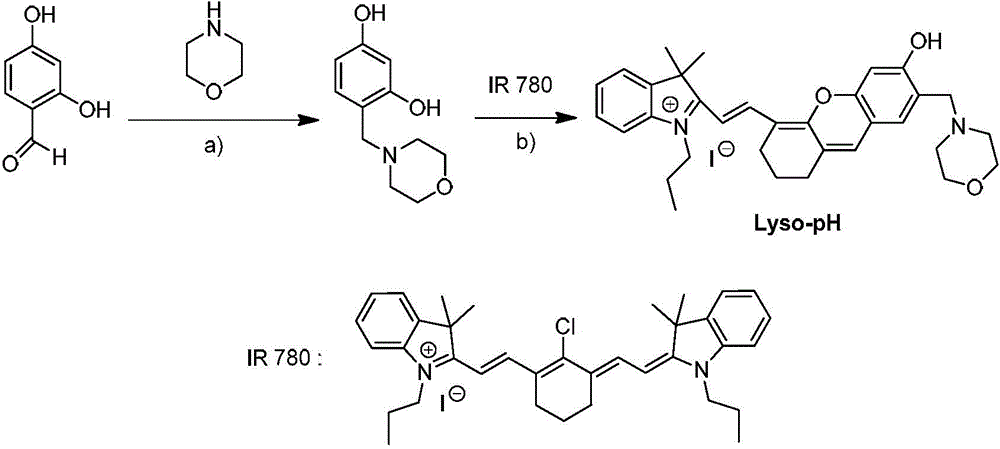 Fluorescent probe for detecting pH value and preparation method thereof, and special detection kit