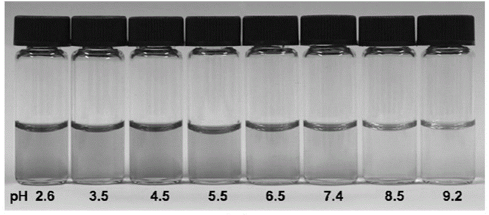 Fluorescent probe for detecting pH value and preparation method thereof, and special detection kit