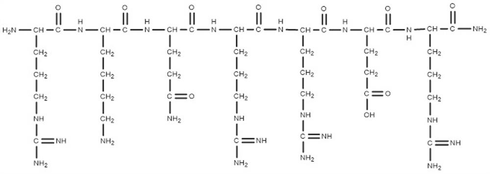 Targeting peptide modified cosmetic peptide composition