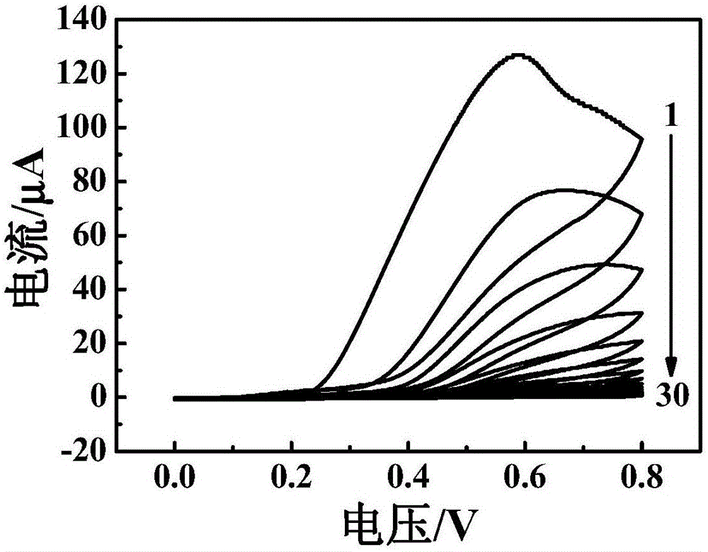 Chloramphenicol molecular imprinting electrochemical luminescence sensor and chloramphenicol detection method thereof