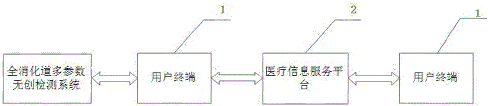 Remote medical information service system for diseases of digestive tract