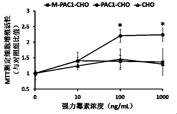 Application of doxycycline in preparing medicines for enhancing PAC1-R (Pituitary Adenylate Cyclase Activating Polypeptide Type 1 Receptor) dimer dependent constitutive activity