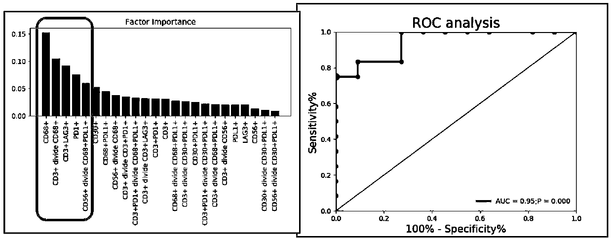 Multi-immunohistochemical analysis kit for hodgkin lymphoma, use method and application thereof