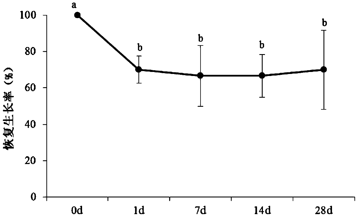 Method for ultralow-temperature preservation of embryonic tissues of larix principis-rupprechtii