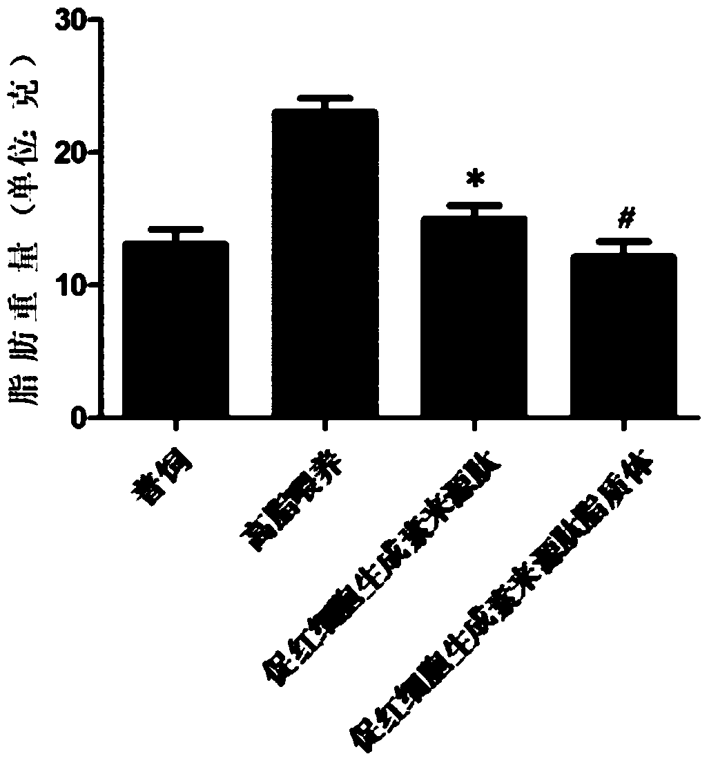 Application of erythropoietin-derived peptide in preparation of medicine for treating metabolic syndrome