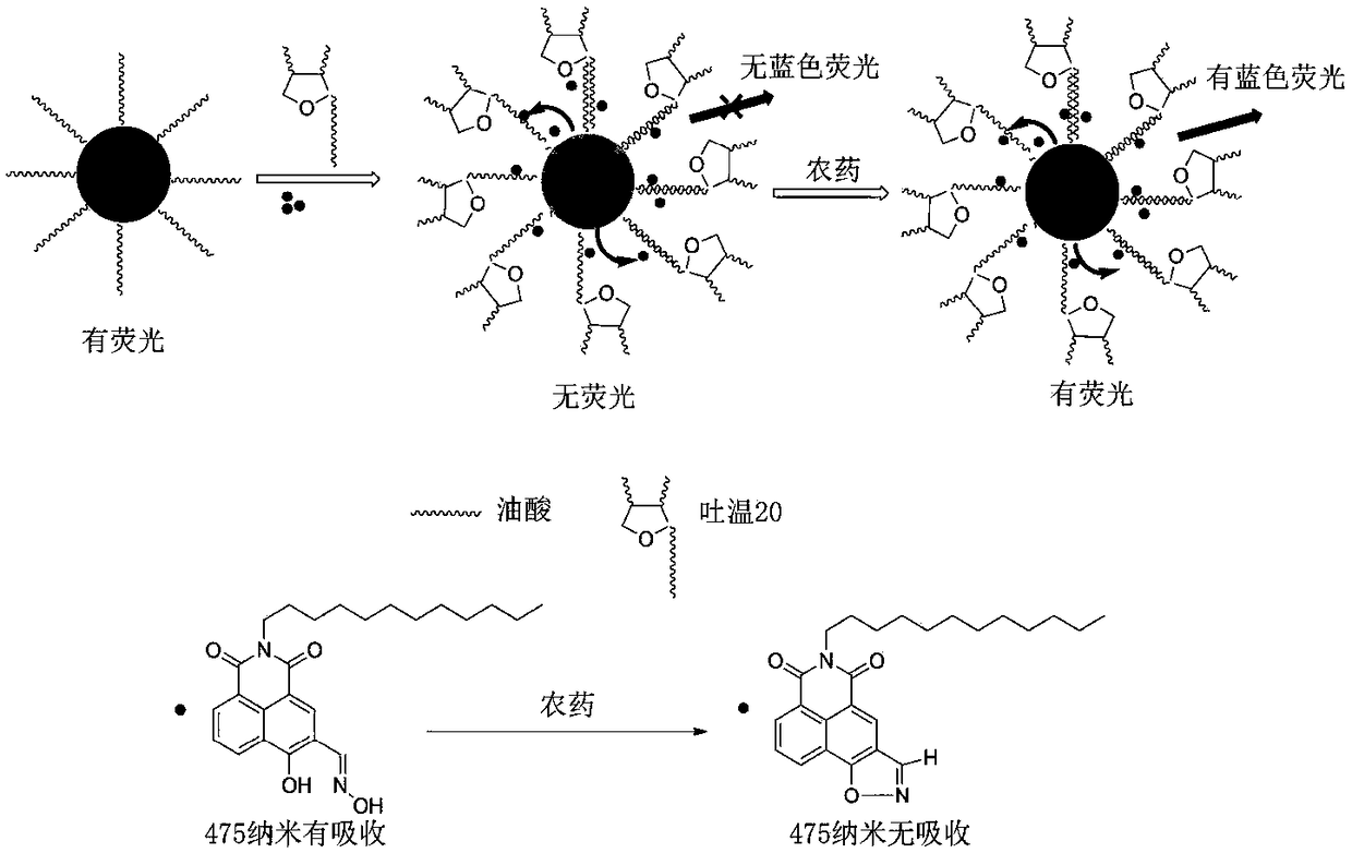 A molecular probe for organophosphorus pesticides, its preparation method, application method and inorganic/organic composite rare earth up-conversion nanomaterial