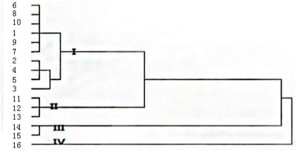 Multicomponent simultaneous assay method and fingerprint spectrum construction method of callicarpa kwangtungensis and applications thereof