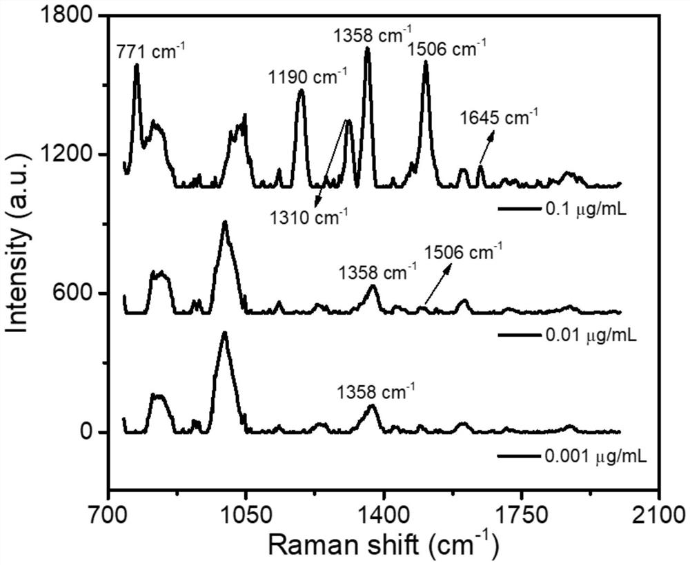 Preparation method of SERS (Surface Enhanced Raman Scattering) substrate with wettability multistage nano array structure