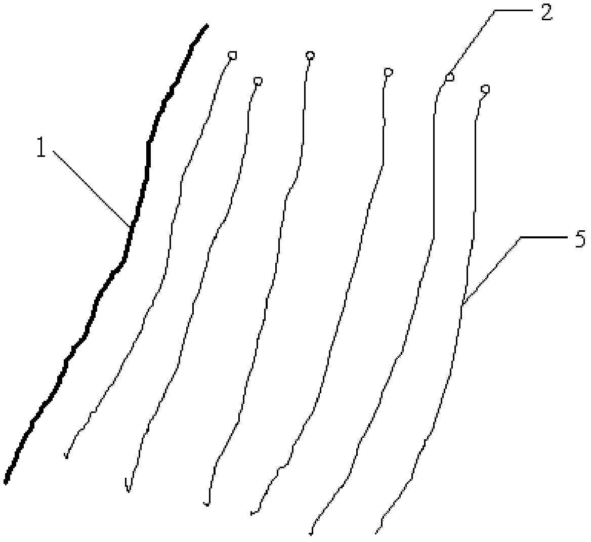 Dynamic display system for streak line in water flow and display method for streak line