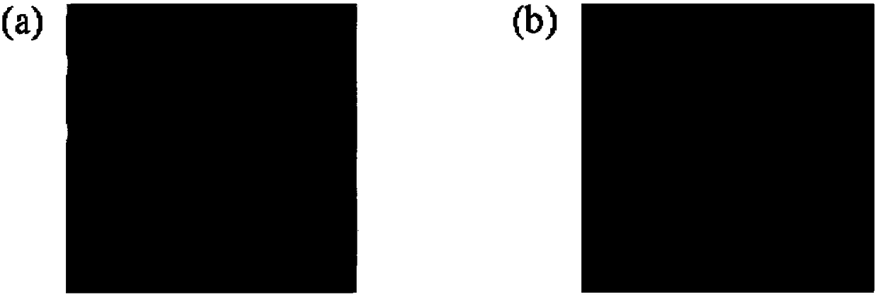 Self-supporting film with microstructured surface and method of making the same