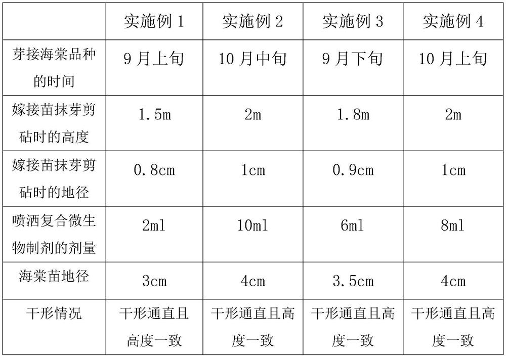 Seedling cultivation method for forestry ornamental trees