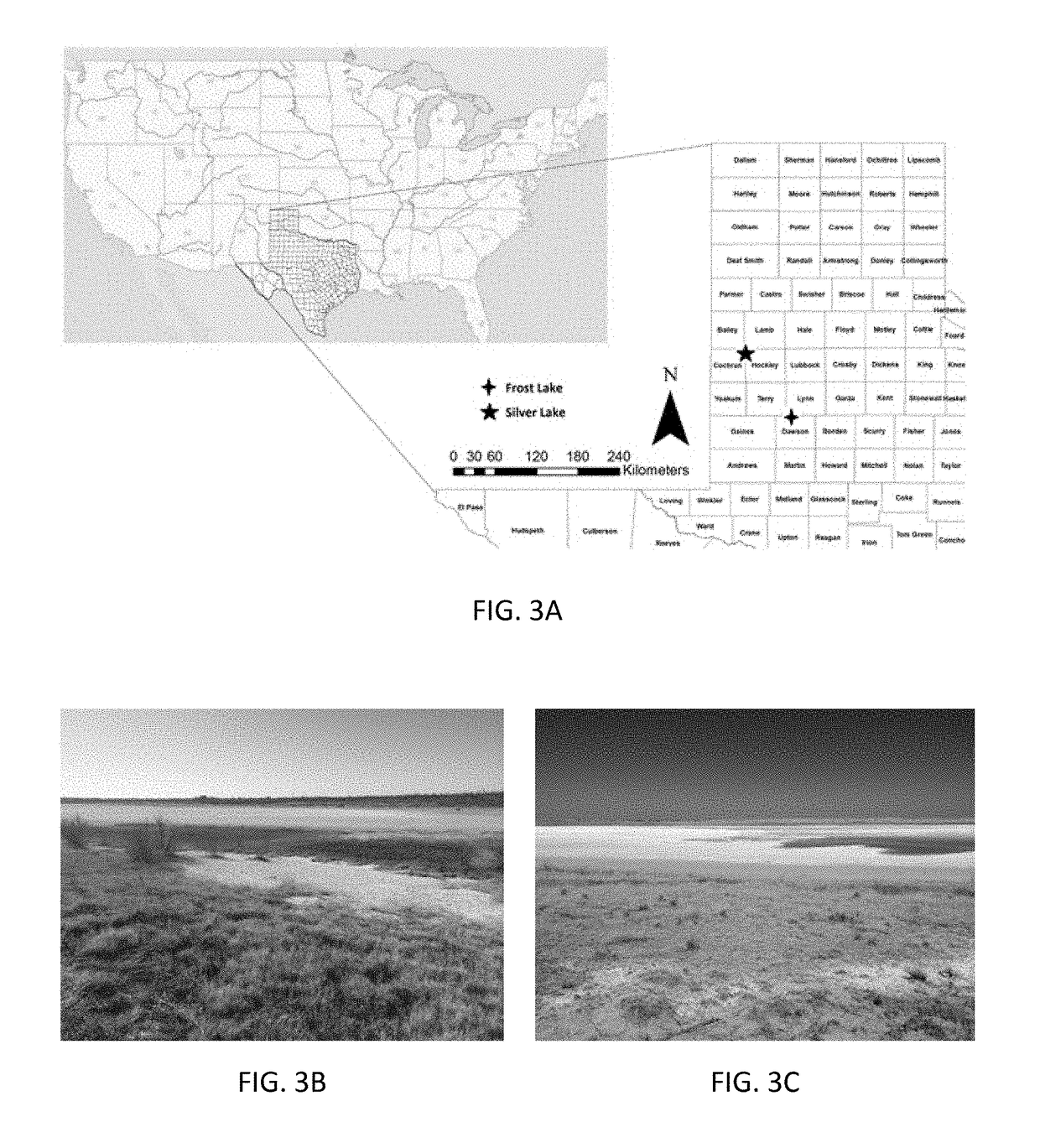 Portable apparatus for soil chemical characterization