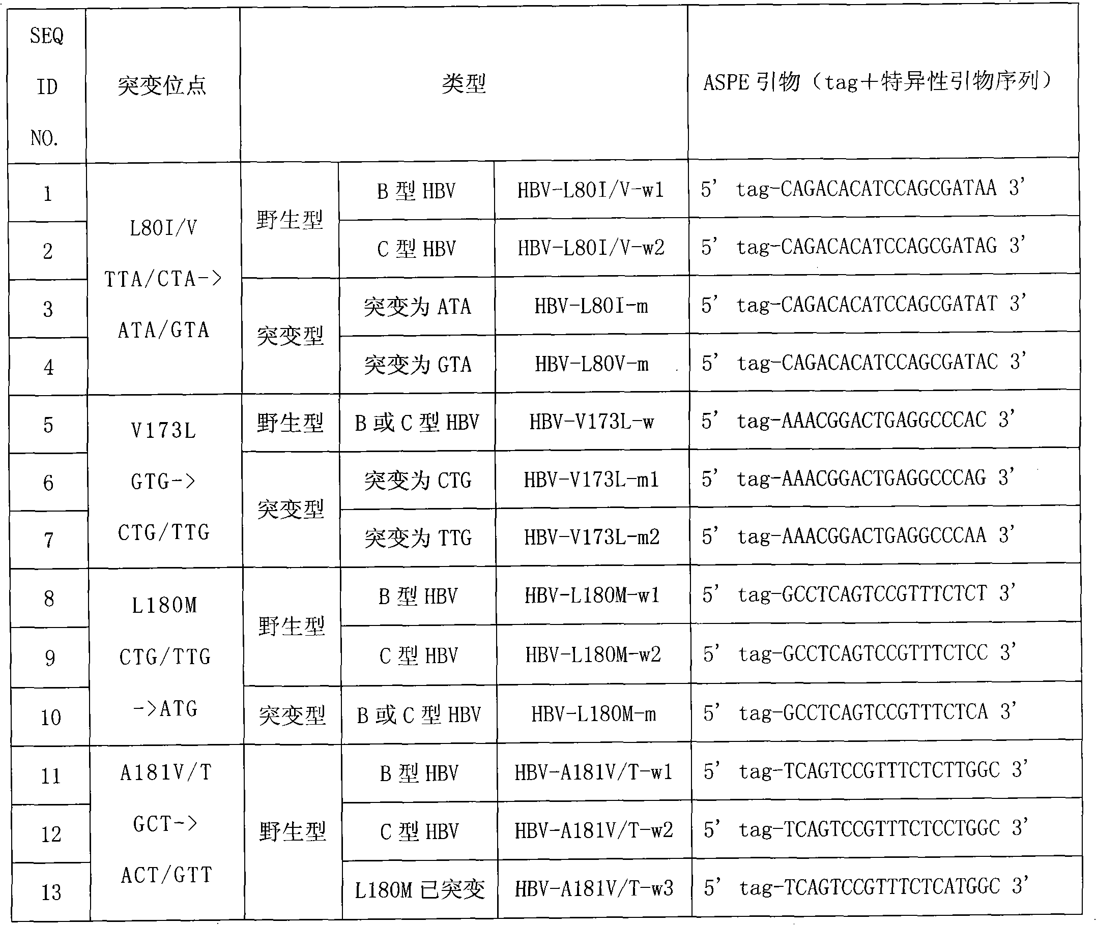 Hepatitis B virus YMDD motif mutation detection specific primer and liquid phase chip and method thereof