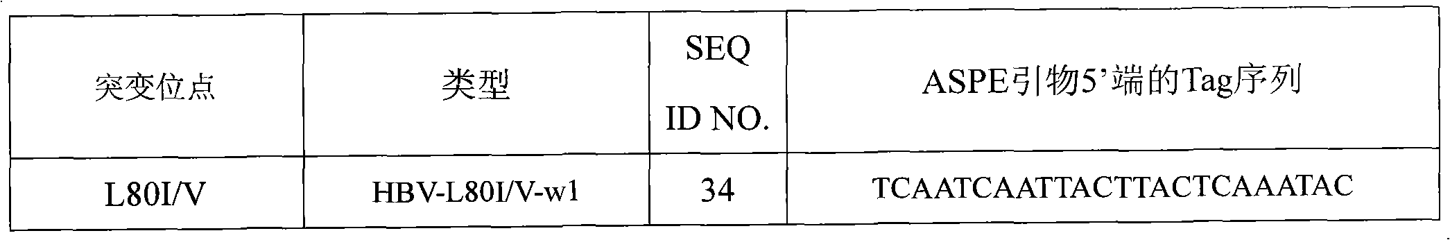 Hepatitis B virus YMDD motif mutation detection specific primer and liquid phase chip and method thereof