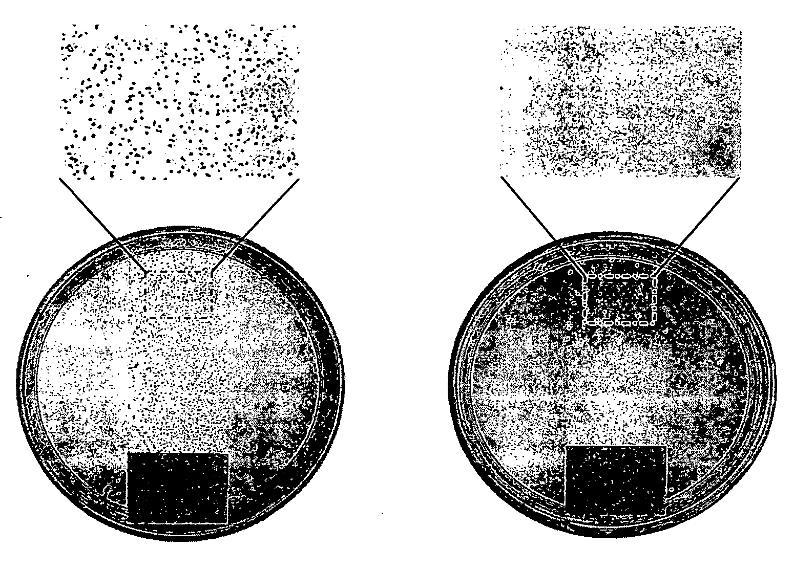 Antimicrobial polymeric surfaces