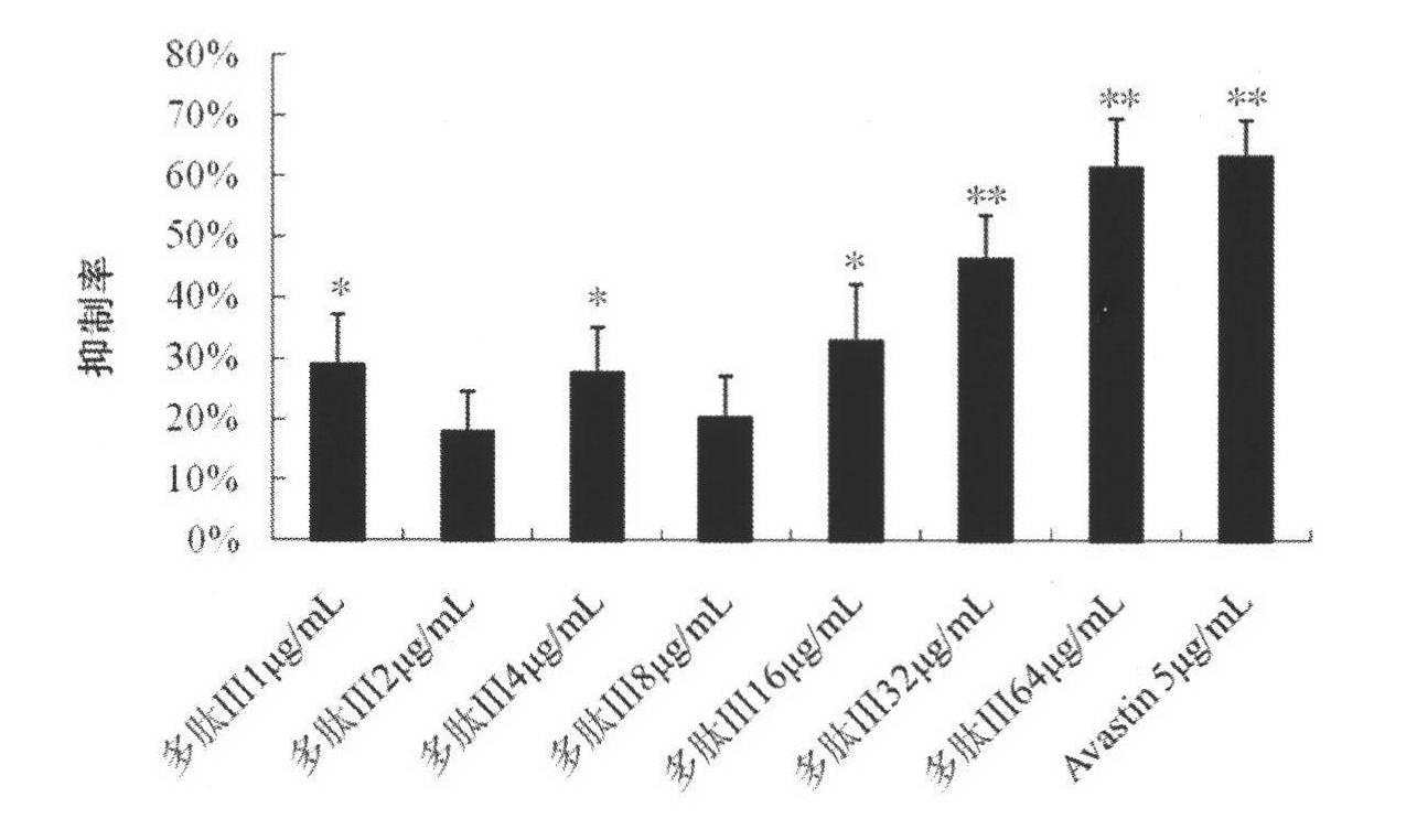 Application of integrin blocker in preparation of medicaments for treating ocular neovascular diseases