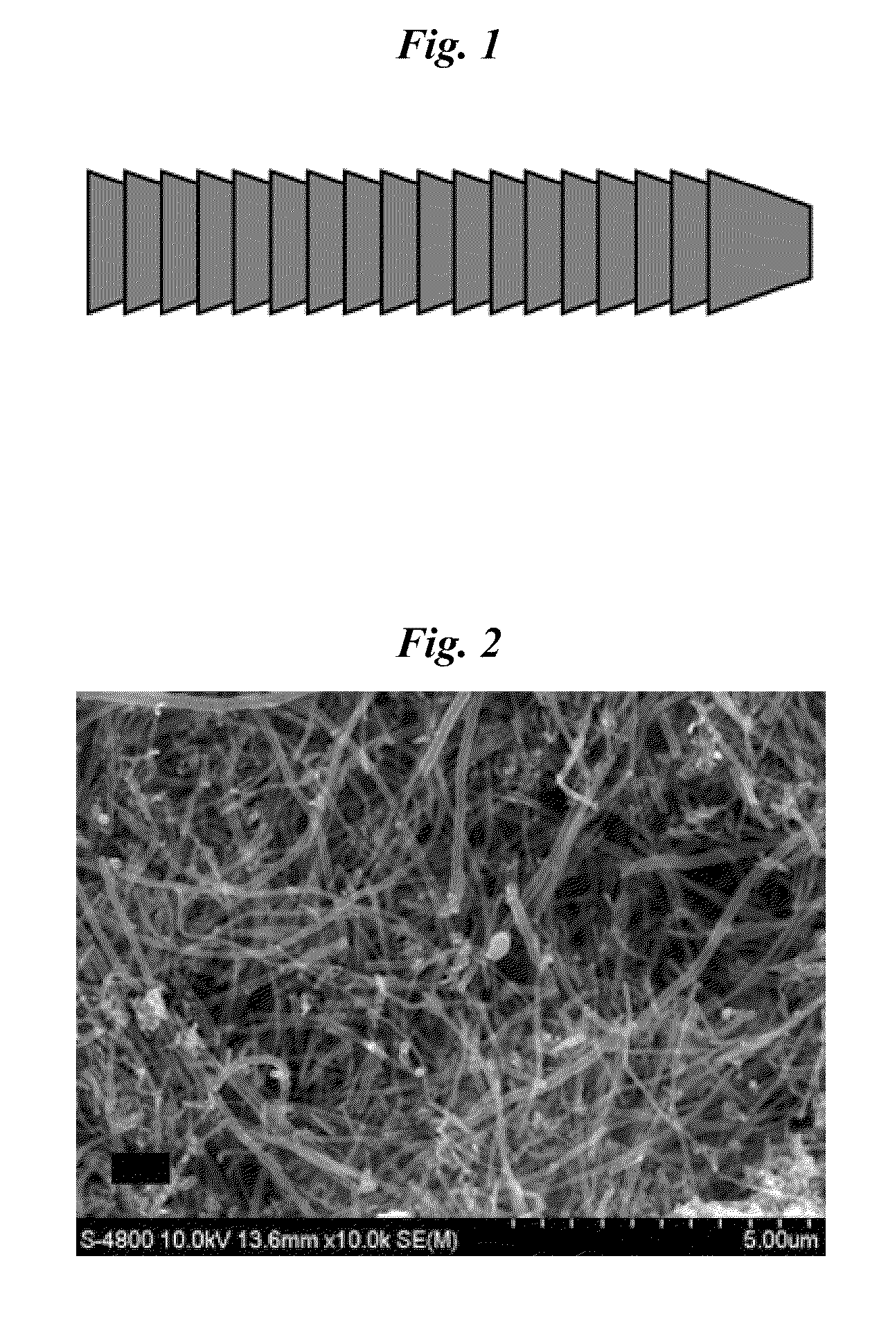 Carbon Nanofiber-Metal Composite and Method for Preparing the Same