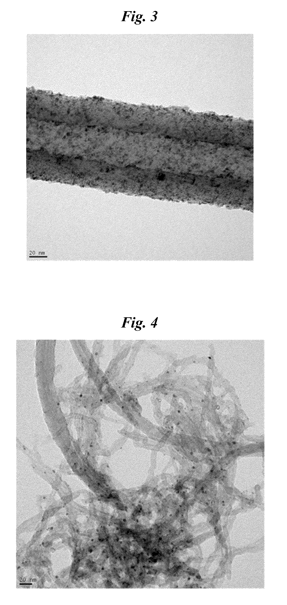 Carbon Nanofiber-Metal Composite and Method for Preparing the Same