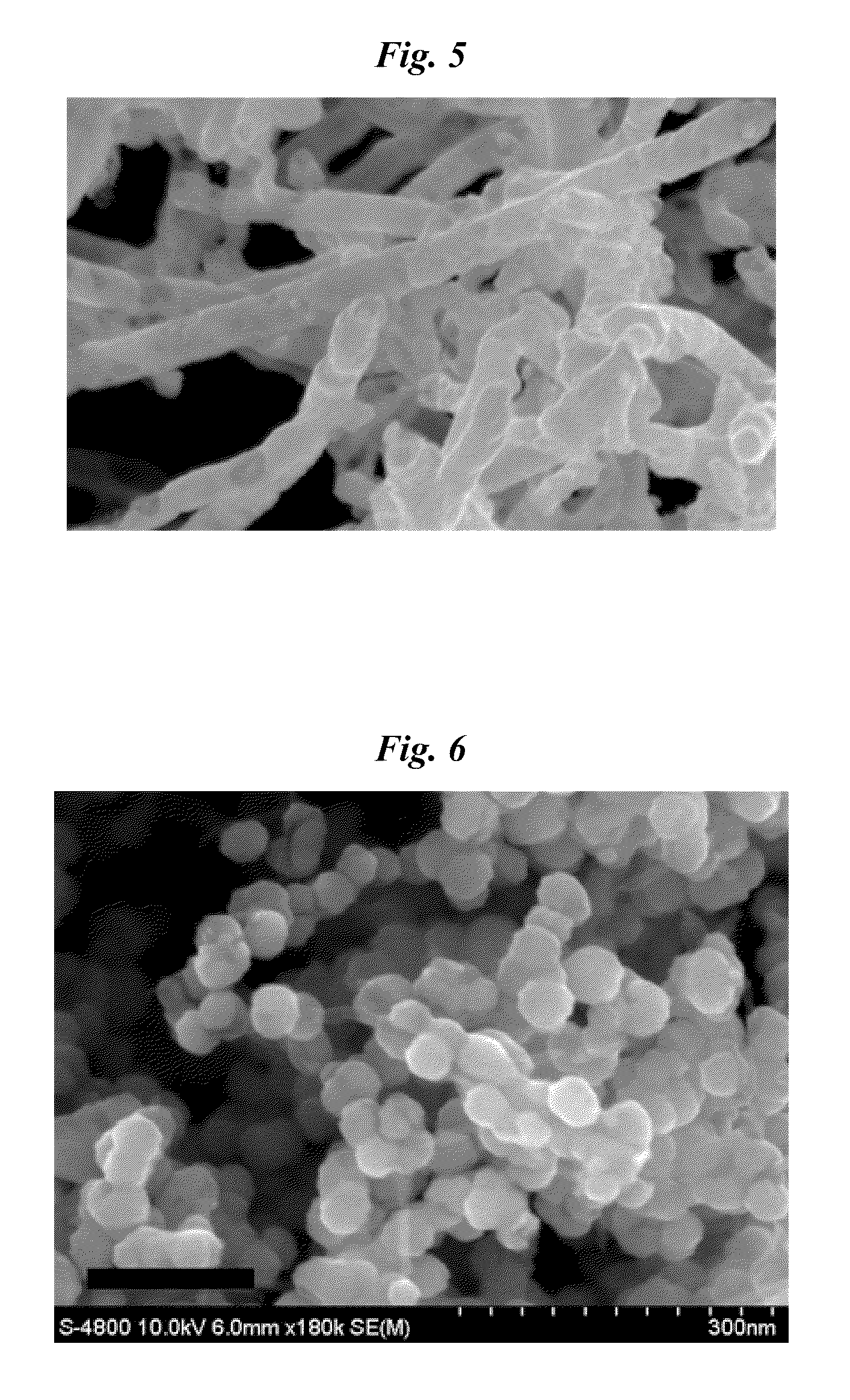 Carbon Nanofiber-Metal Composite and Method for Preparing the Same