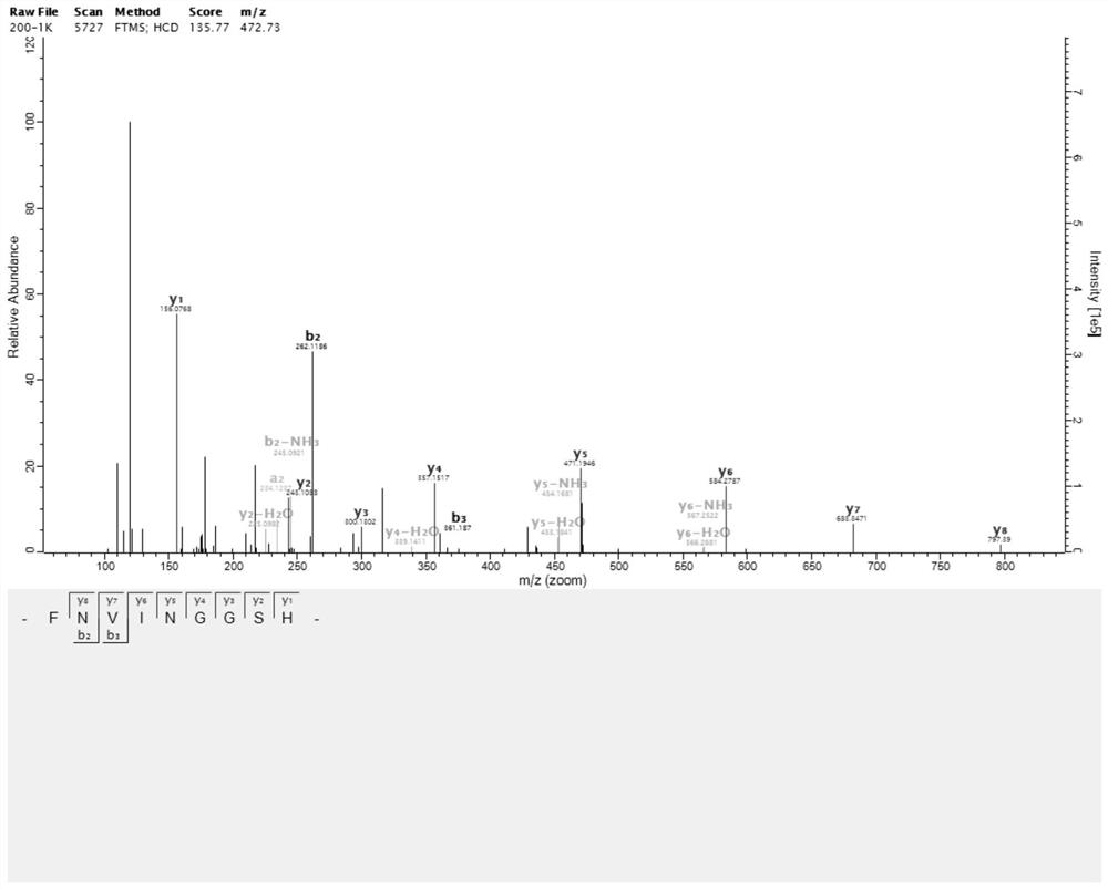 A kind of starworm ace inhibitory peptide and its preparation method and application