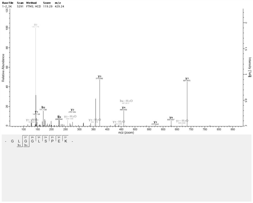 A kind of starworm ace inhibitory peptide and its preparation method and application