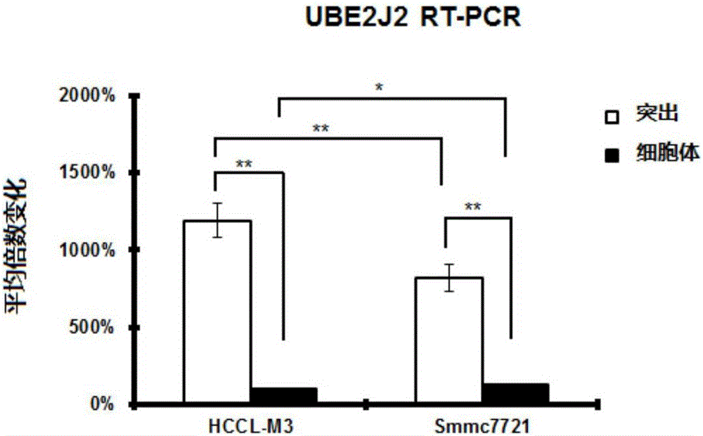 Reagent or kit for early diagnosis of hepatocellular carcinoma and application of reagent or kit