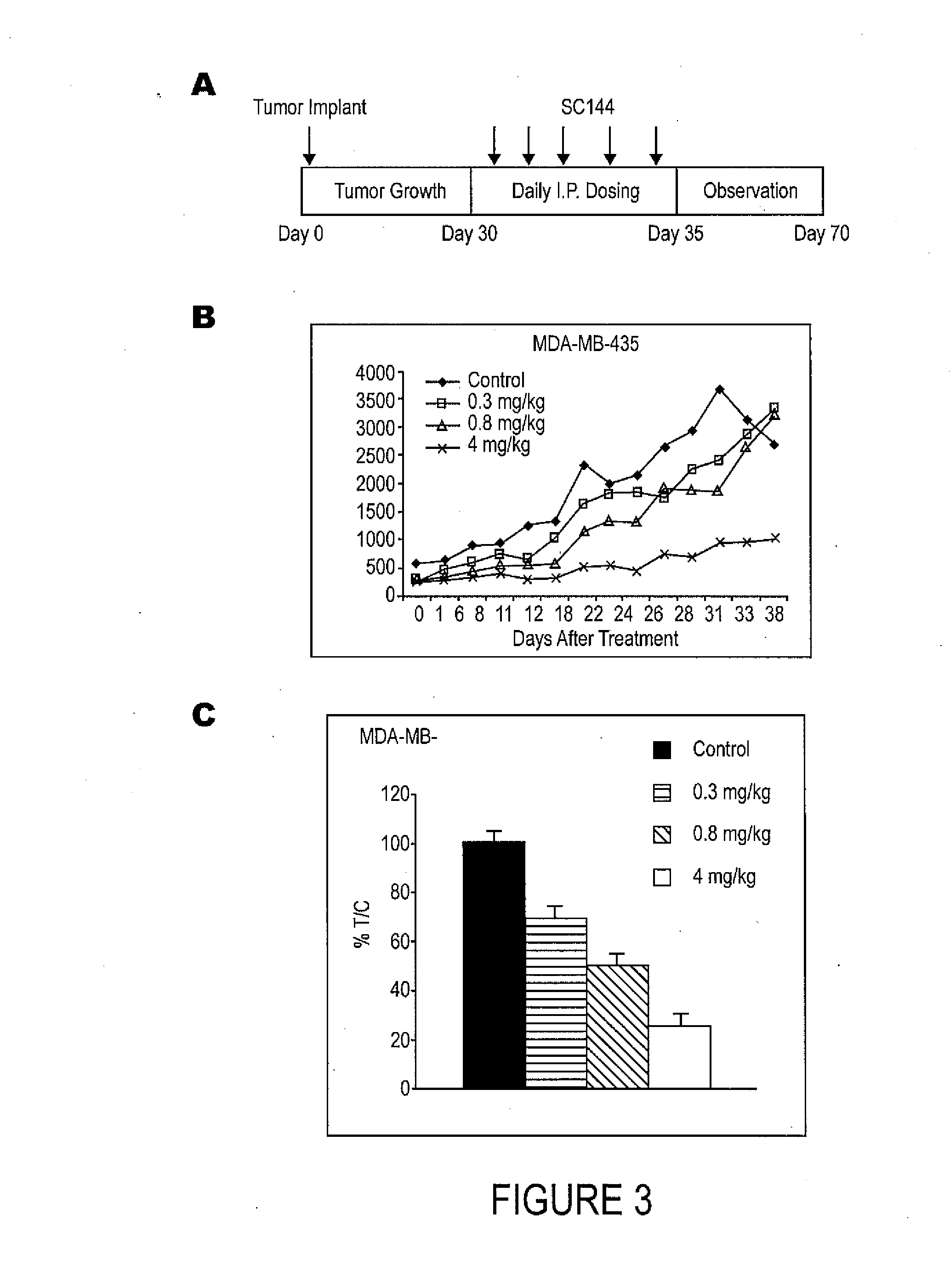 Novel Compounds for Treatment of Cancer and Disorders Associated with Angiogenesis Function