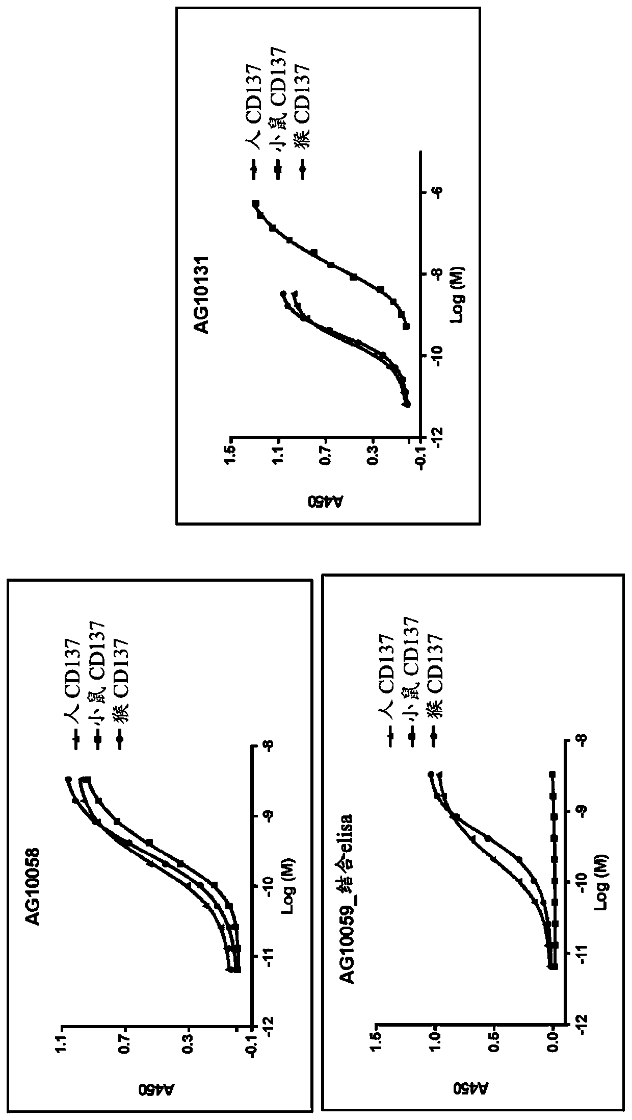 Anti-cd137 molecules and use thereof