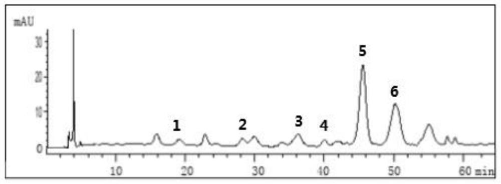 High performance liquid chromatography detection method for anthocyanin in blueberries