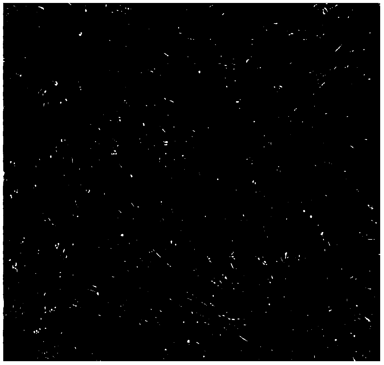 Method for obtaining human adipose-derived stem cells and construction method for multilevel allogeneic adipose-derived stem cell bank