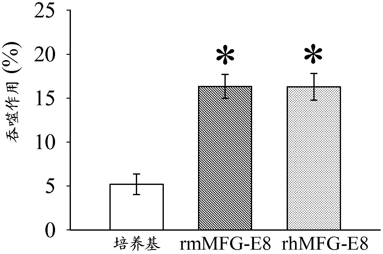 Mfg-e8 and uses thereof