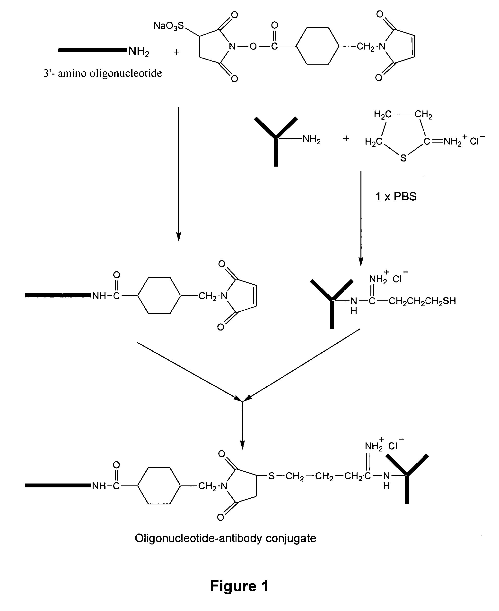 Cell-based microarrays, and methods for their preparation and use