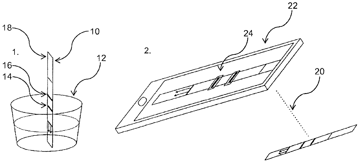 Method and device for estimation of ovulation date