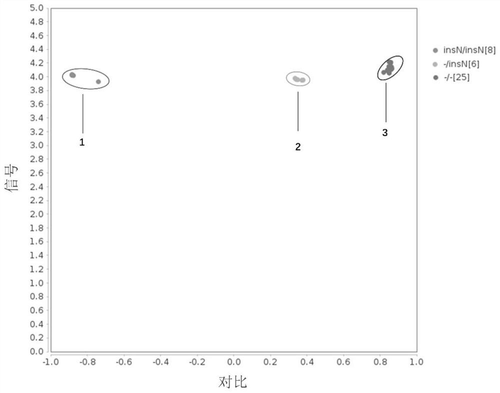 Primer group, kit and method for detecting cattle horn-free gene