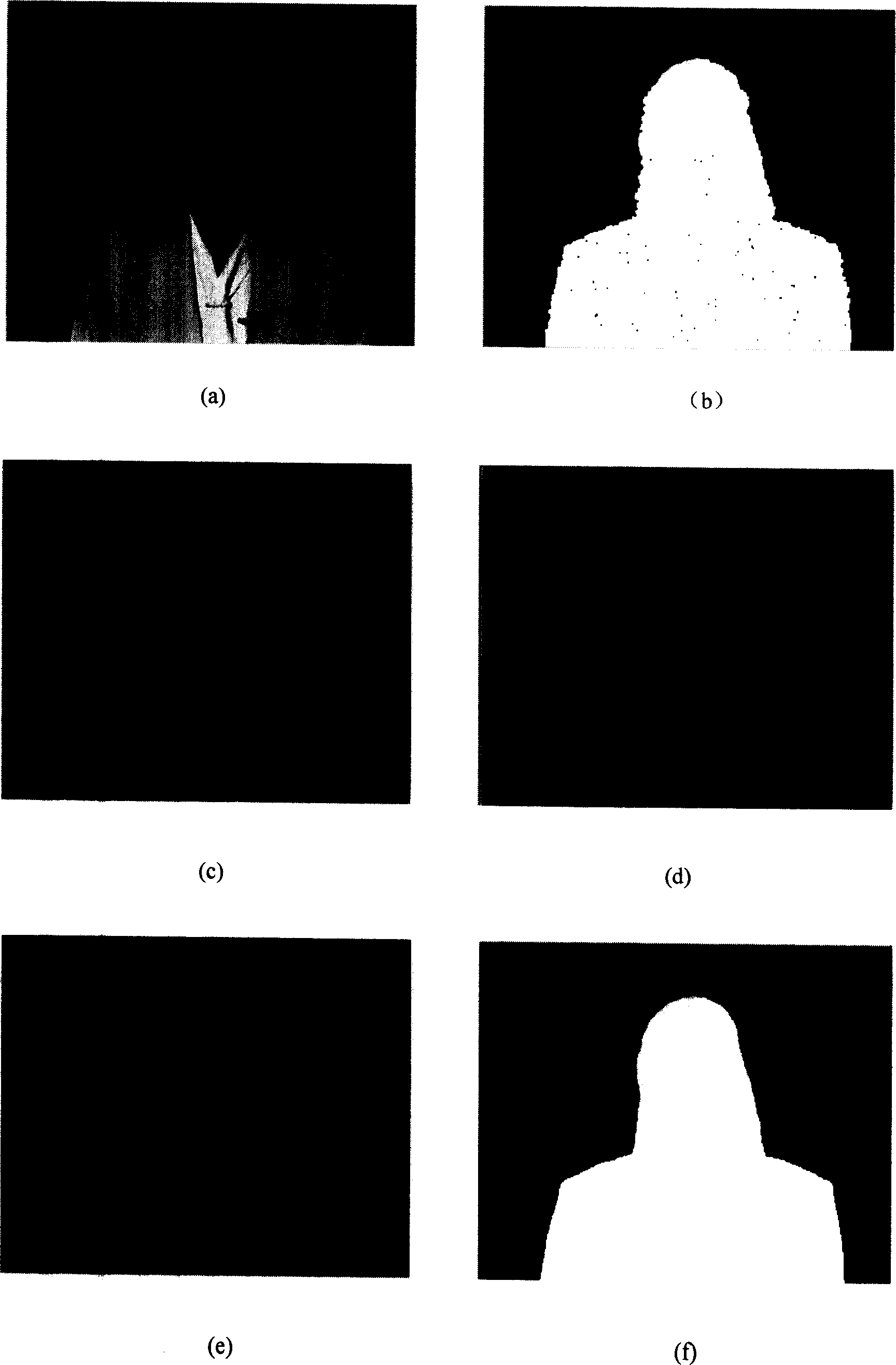 Division method of motive object in video sequence