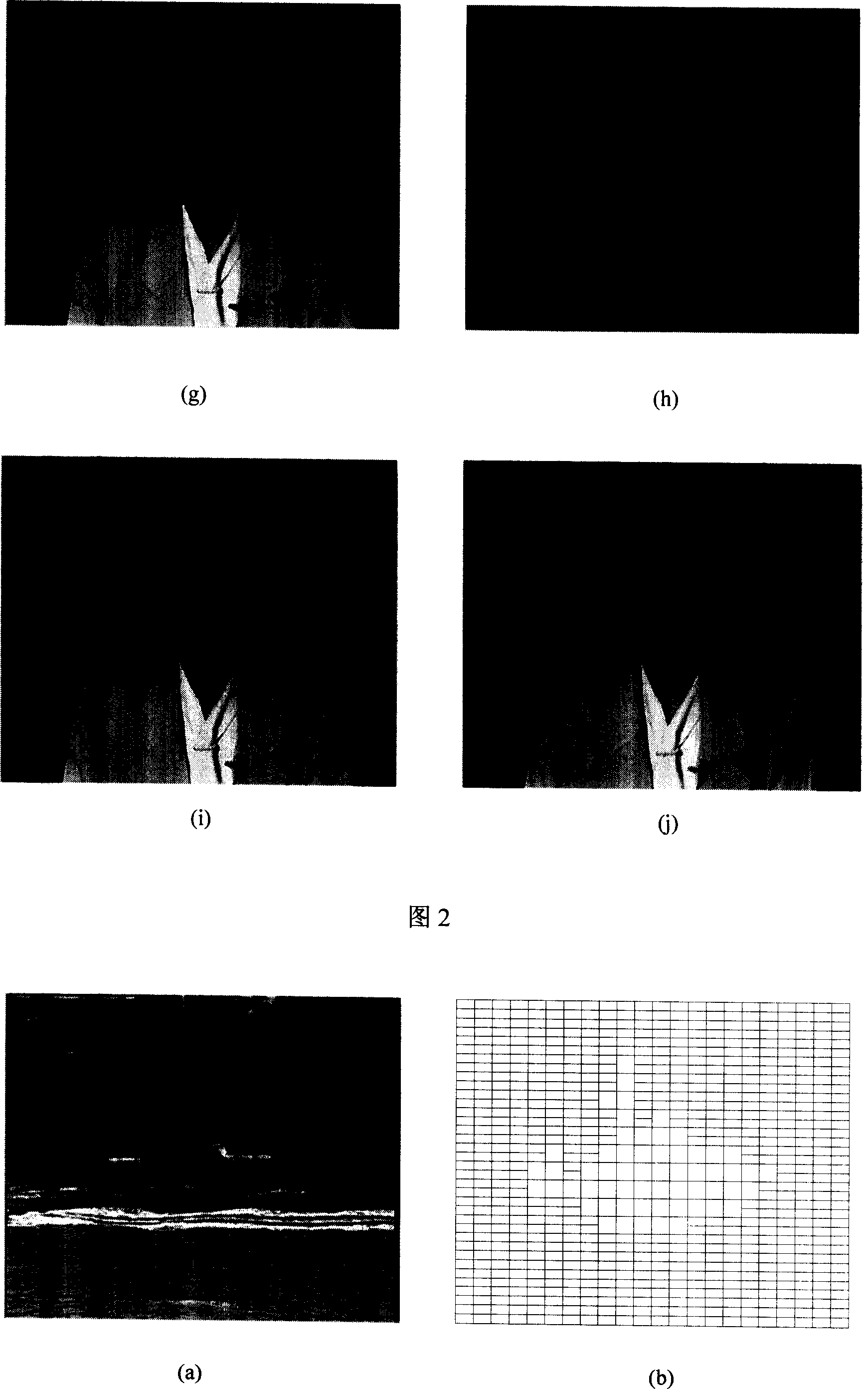 Division method of motive object in video sequence