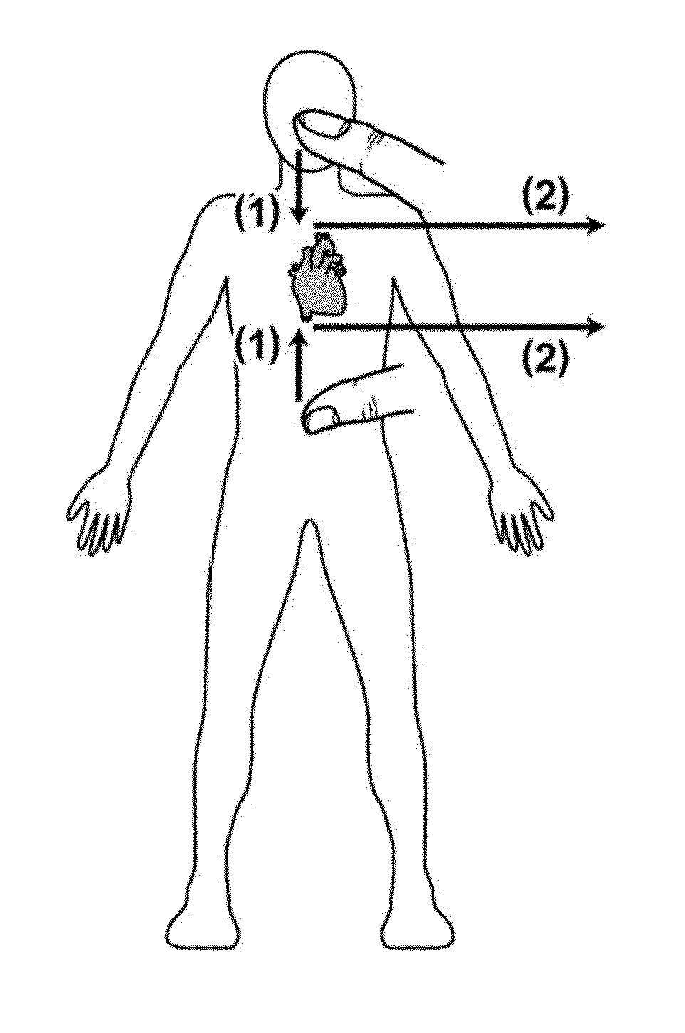 Medical information display apparatus, method, and program