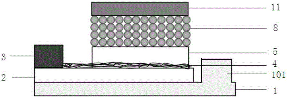 Quantum dot light-emitting field effect transistor and preparation method thereof