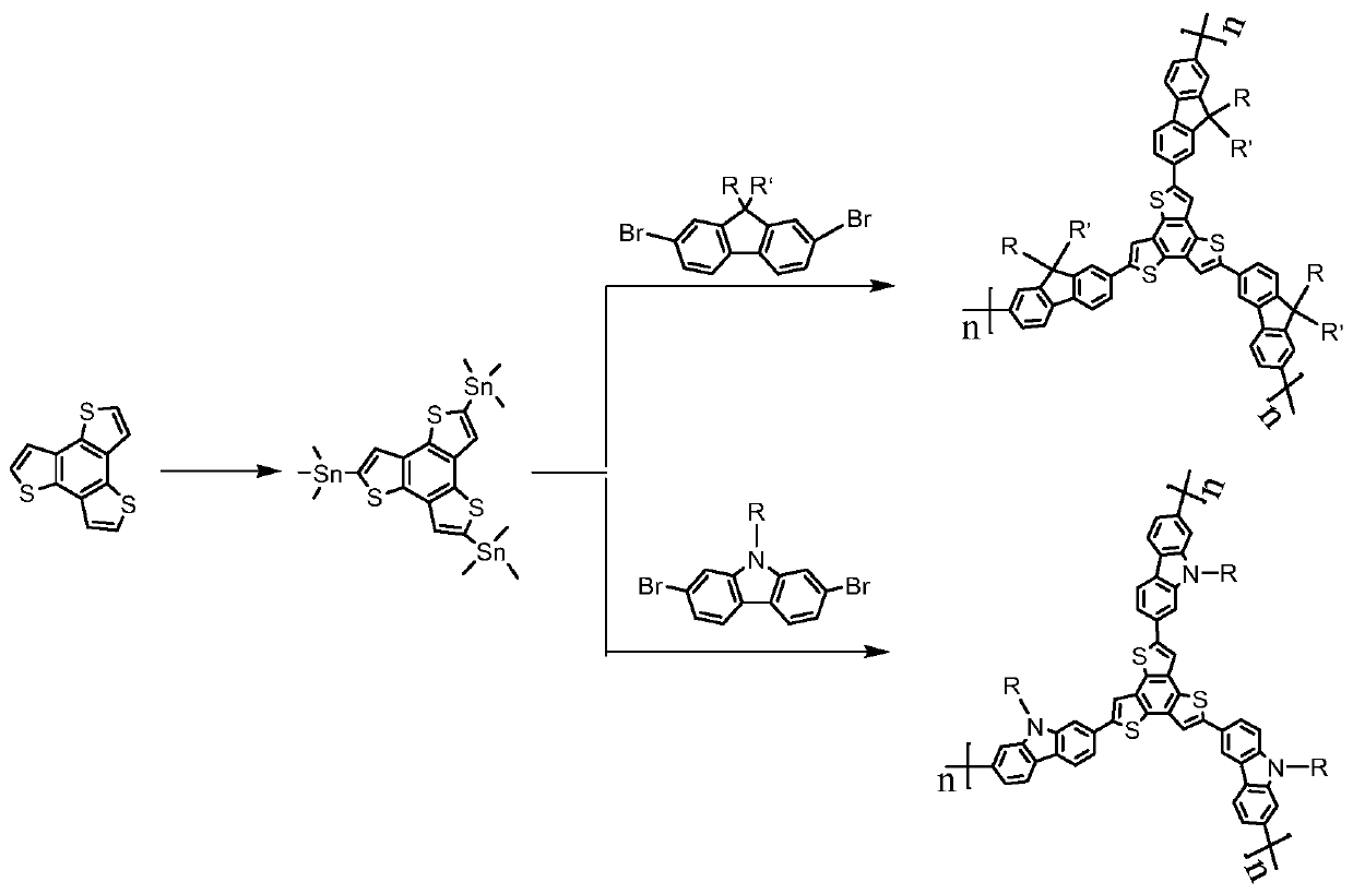 Fluorescent star polymer, and preparation method and application thereof