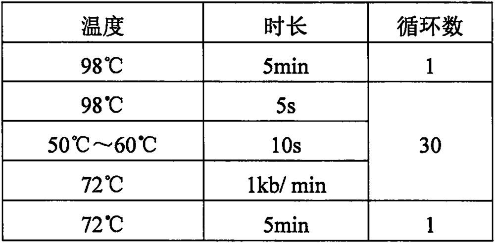 A kind of recombinant Escherichia coli, preparation method and method for synthesizing d-1,2,4-butanetriol